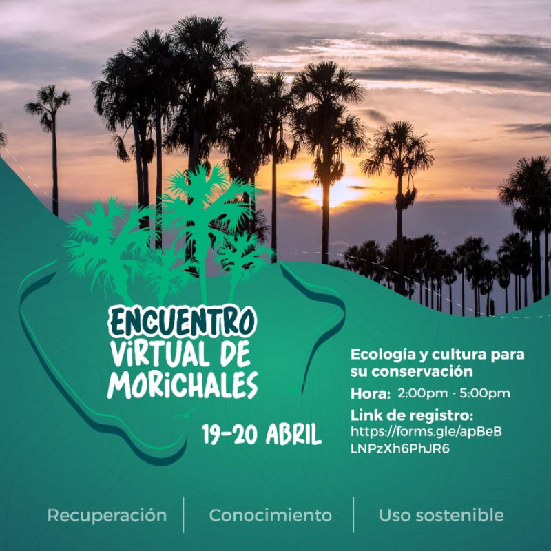 evento-encuentro-virtual-de-morichales