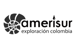 AMERISUR